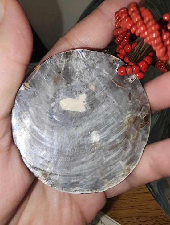 Artisan Shiwa Eye Shell Pendant and Red Glass Seed Beaded  Necklace - Picture 4 of 6